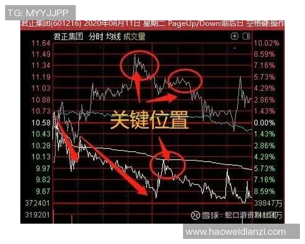 重庆篮球队与南京篮球队的赛后复盘分析与节奏对比探讨