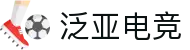 泛亚电竞·(中国区)电子竞技平台
